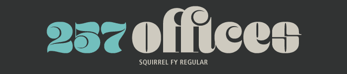 Squirrel FY
